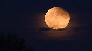 Partial lunar eclipse 2021: Can I see it in Florida? How to watch it on your phone, TV, YouTube