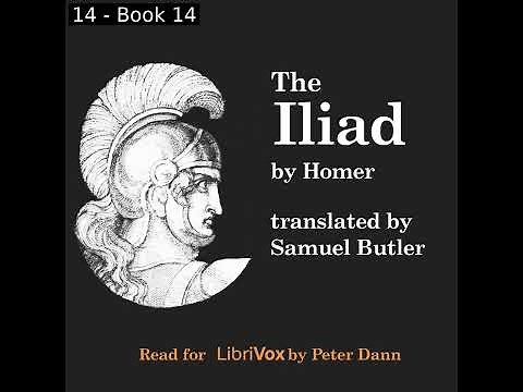 The Iliad (Version 2) by Homer read by Peter Dann Part 2/2 | Full Audio Book
