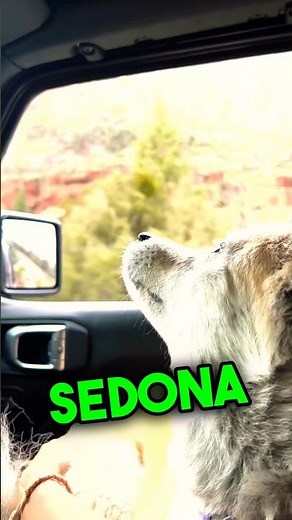 Free Artesian Spring Water at Harding Spring near Sedona