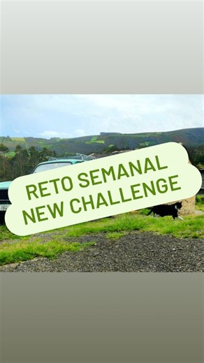 Virtual Sketchers| reto art challenge on Instagram: "​🌙 El Guardián del Cuatro Latas ​La niebla descendía cada noche sobre Mondoñedo, densa y voraz, engullendo la luz como si el mundo se disolviera poco a poco. Antón, cansado y sin más consuelo para su alma solitaria que el sueño, apagó su viejo transistor y se dirigió a la cama. ​No pasó mucho tiempo cuando desde la oscuridad exterior, se empezó a escuchar un lamento. ​Era largo. Bajo. Hondamente trémulo. ​Parecía el sollozo de algo —o 