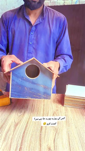 How to Build Lovebird Houses for Your Pets