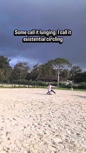 10K views · 91 reactions | The 4:30am lunging routine: ✅Half-asleep ✅ No plan ✅ 47 minutes left rein ✅ 3 minutes right Equestic fixes that: by showing you exactly what’s happening in your workouts.  Because “just circles” isn’t a training plan. #Equestic #smarttraining #horsegirlscience | Laura Ashley Dressage | Facebook