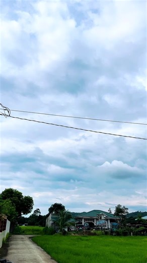 TMX 155 Street Bike Setups and Accessories Guide