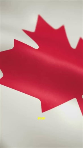 Programming Languages and their Country of Origin #programming