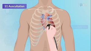 Video: Assessment of the Cardiovascular System IV: Auscultation