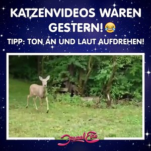 Das legendäre Schlagzeugsolo von Phil Collins heute mal von einem Reh! 😂 | Formel Eins