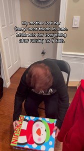 Her reaction to seeing her best friend again 🥺 | 🎥: @fagelman2 | #cuddleclones #customstuffedanimal #dog #dogs #petlover #giftsforpetlover #dogsoffacebook #doglover #rainbowbridge #petloss #petmemorial #customersmostloved #emotional #unboxing | Cuddle Clones