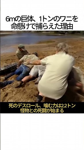 6mの怪物！1トンのワニを命懸けで捕獲する理由とは？