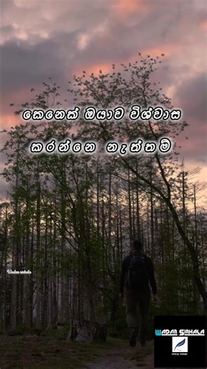Wadan Sinhala | Motivation | හරිද මේ කතාව.... 💯 #wadan #sinhalawadan #sinhalaquotes