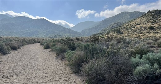 4 picture-perfect nature trails in New Mexico for spring hiking