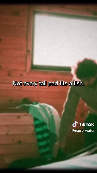 Understanding Fishboards: Surfing Essentials