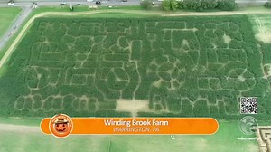 Cherry Crest Adventure, 4 more must-see Philadelphia Halloween Corn Mazes