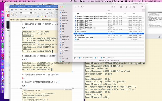 Linux操作系统作业_实验三