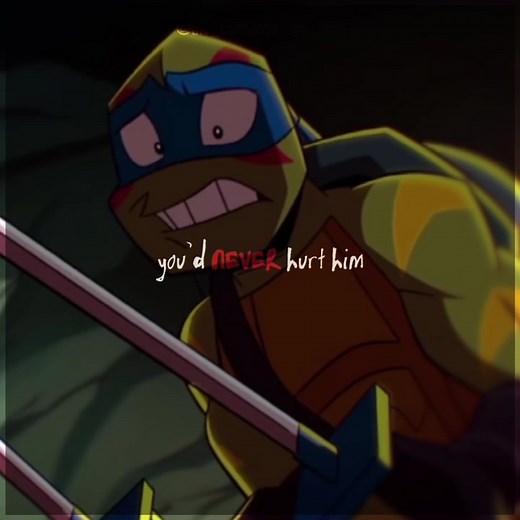 Correct Video: Raph and Leo Moments | ROTTMNT
