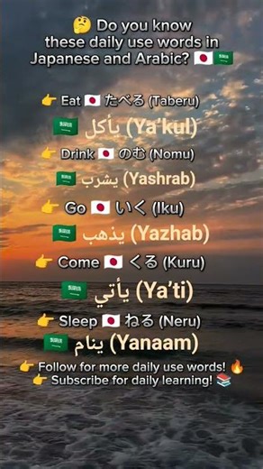 Daily Use Verbs in Japanese and Arabic | Eat Drink Go Come Sleep 🇯🇵🇸🇦