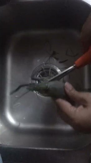 Lobster cutting #food #cooking #mycooking #lobster