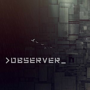 Observer