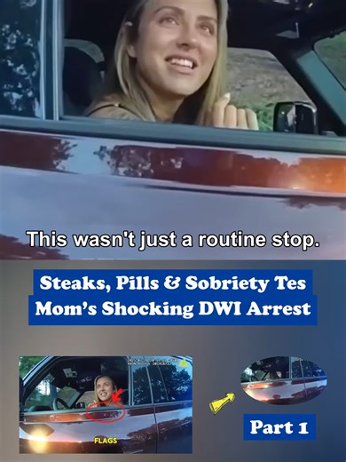 Mom's Shocking DWI Arrest: What Happened During the Stop?