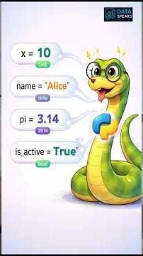 Fundamentals of Variables in Python Programming