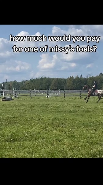 love this trend #appytok #missconfetti