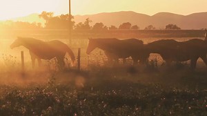 The perfect summer? 🏊🏼‍♂️☀️⛱️🍦Live it in Tuscany! 😎 From the Argentario coast to the Tuscan Archipelago islands, find your oasis of relaxation and fun. Explore nature, mountains, hills, charming villages, and timeless landscapes. Discover the magic! 🌴🏄🏼‍♂️🚤🍧🍹 | Visit Tuscany