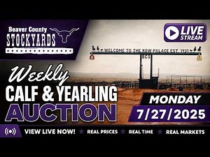 7/28/26 - Calf & Yearling Auction - Beaver County Stockyards