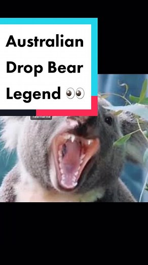 The Terrifying Truth About Australian Drop Bears 👀 #Australian #MythicalCreature #Folklore