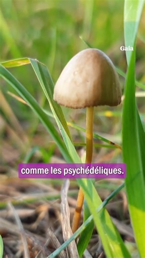 2.8K views · 62 reactions | Avez-vous déjà été interpellé par...