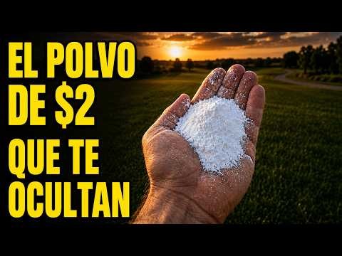 El Polvo de $2 Que Deja Tu Césped Verde Como Uno de $60