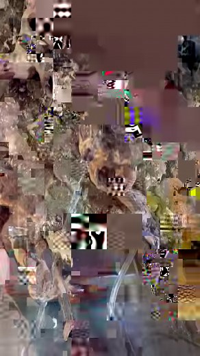 523K views · 10K reactions | How I made a Zoo Med Laboratories, Inc. 18x18x36” Paludarium #everevolvingexotics #tutorial #enclosurebuild #zoomed #paludarium #plantedtank #bioactive #livingvivarium #reptileshop #tucson #arizona #treefrogs #neocardinashrimp #ecoart | Ever Evolving Exotics | Facebook