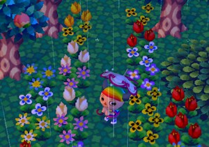 Music Transcription and Video Game Fandom: Animal Crossing Rain