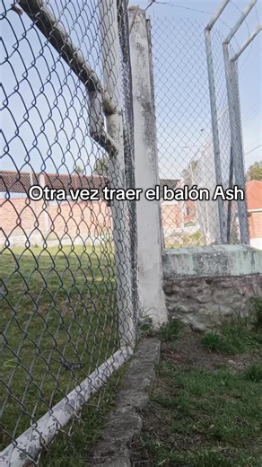 Divertidos momentos en el parque con amigos