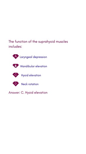 Shaista Ramzan | The function of the suprahyoid muscles includes #medicalexamguide | Instagram