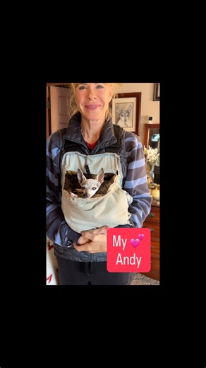 Jenilee Harrison on Instagram: "My Andy 💕 You guys love him and always ask about him. My new mini show @twogirlsandadonkey #jenileeharrison #threescompany #80stv #twogirlsandadonkey #wherearetheynow #sitcom #dallas #farmlife #terrier"