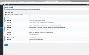 薇晓朵 BuddyPress 中文教程 02、BuddyPress 常用设置及常规页面创建