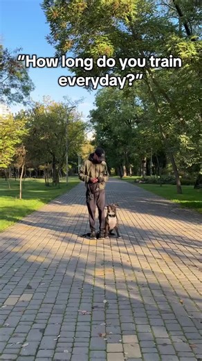 PawChamp: Fun Dog Training Anytime, Anywhere