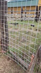 24K views · 699 reactions | Happy First Birthday to Mama Cece’s...