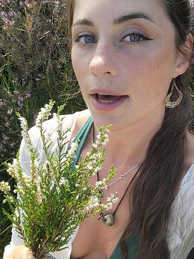 Unveiling the Mystery of White Heather: A Scottish Folklore Tale