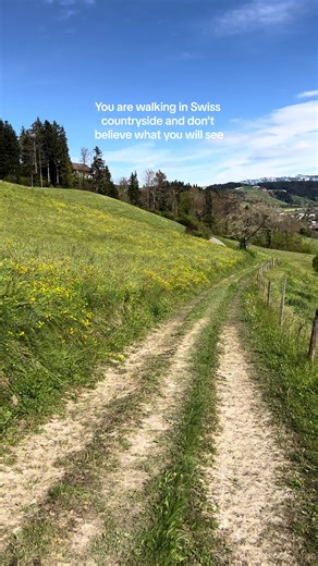 The Emmental region in Switzerland is often considered underrated, despite its picturesque landscapes, charming villages, and delicious cheese production 🧀🇨🇭 Follow me for Swiss inspiration🇨🇭 . . . #emmental #hiddengems #travellife #switzerlandviews