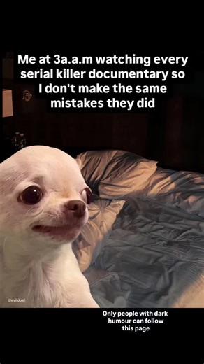 Official Evil Dog | 😂 Daily evil & hilarious memes 🐶 EVIL DOG — Official Meme Page 😈 Dark humor | satire only 🛒 EVIL DOG clothing & merch ⬇️ Shop via link in... | Instagram