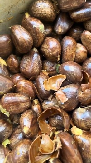 1.8M views · 21K reactions | No uses más lentes para la vista porque ya tienes la cura con esta receta  #remedios #remedioscaseros #bellezanatural #salud #RemediosNaturales #VistaSana #viralreelsシ #viralvideoシ | Remedios más efectivos | Facebook