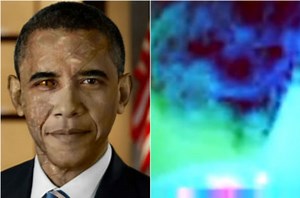 Apparently Obama has a ‘reptilian implanted on the back of his head’