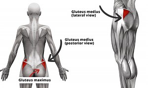 4 Weak Gluteus Medius Activation Exercises