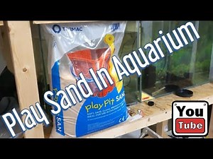 Kids play sand in an aquarium?!?