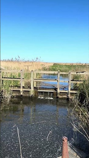 This Blakeney View And Flowing Water Sounds Will Calm You #NorthNorfolk #Shorts #watersounds
