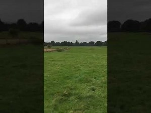 A visit to Inchtuthil legionary fortress