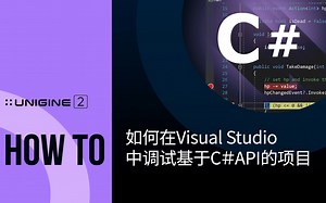 在Visual Studio中调试基于C＃API的项目