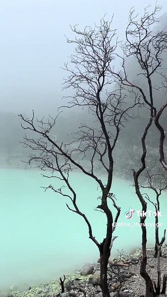 Explore Kawah Putih: Bandung's Stunning Crater Lake
