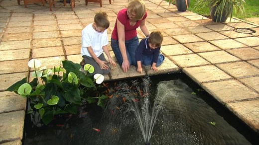 Pennington Aquagarden - Inpond 5-in-1 pond pump and filter 200-300-600