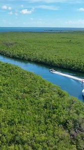 7.4K views · 579 reactions | In this episode of ‘Friends of Jimmy’,...